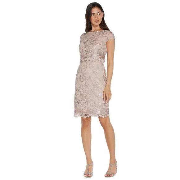 NWT Adrianna Papell Dusty Rose Embroidered Lace Popover Dress Size 2 NEW - Picture 13 of 15